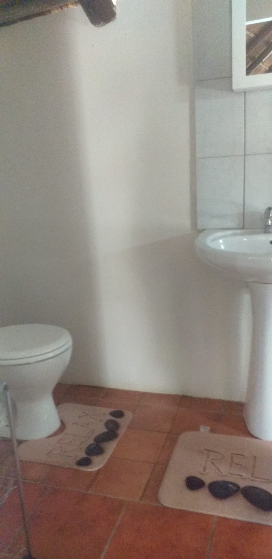 Robin’s Thatch Bathroom Toilet and Handbasin